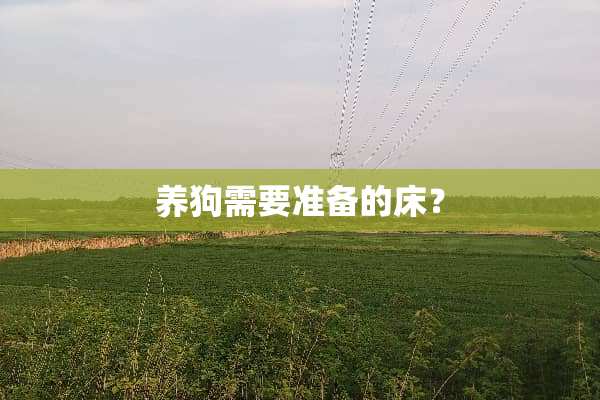 养狗需要准备的床？