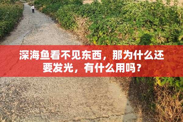 深海鱼看不见东西，那为什么还要发光，有什么用吗？