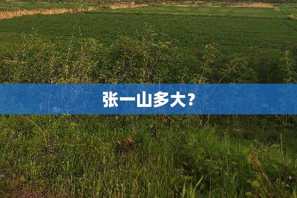 张一山多大？