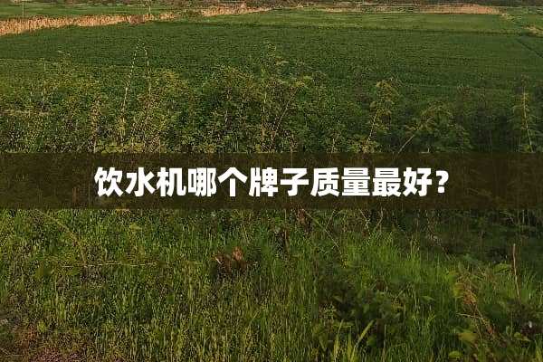 饮水机哪个牌子质量最好？