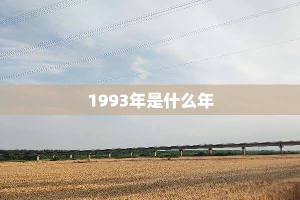1993年是什么年