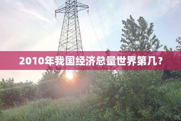 2010年我国经济总量世界第几？