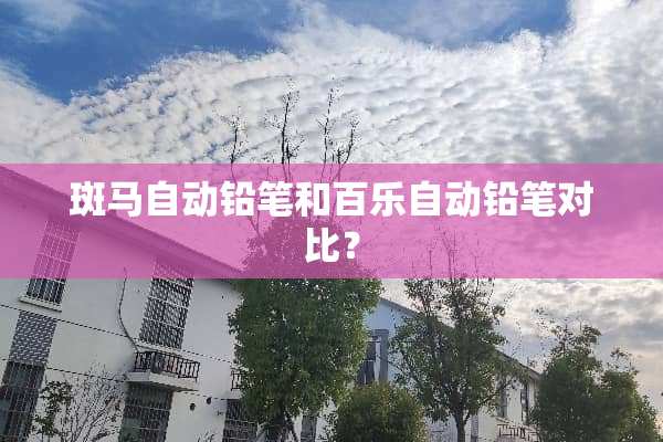 斑马自动铅笔和百乐自动铅笔对比？