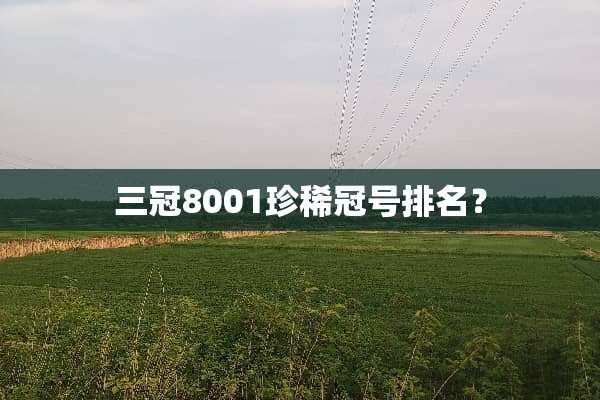 三冠8001珍稀冠号排名？