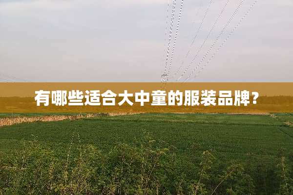 有哪些适合大中童的服装品牌？