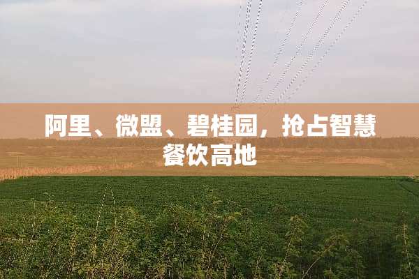 阿里、微盟、碧桂园，抢占智慧餐饮高地