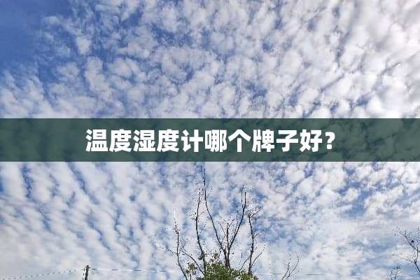 温度湿度计哪个牌子好？