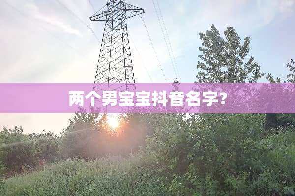 两个男宝宝抖音名字？