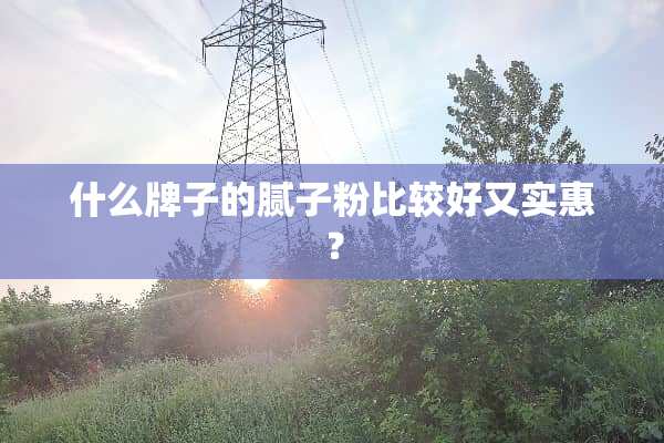 什么牌子的腻子粉比较好又实惠？