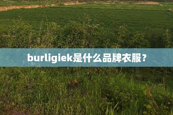 burligiek是什么品牌衣服？