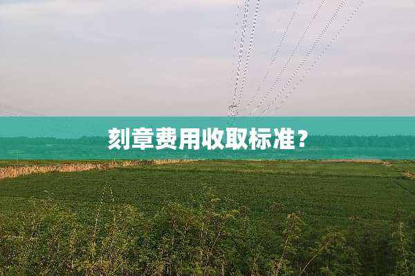**费用收取标准？