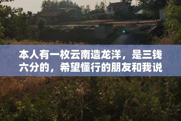 本人有一枚云南造龙洋，是三钱六分的，希望懂行的朋友和我说下现在市场价格是多少？