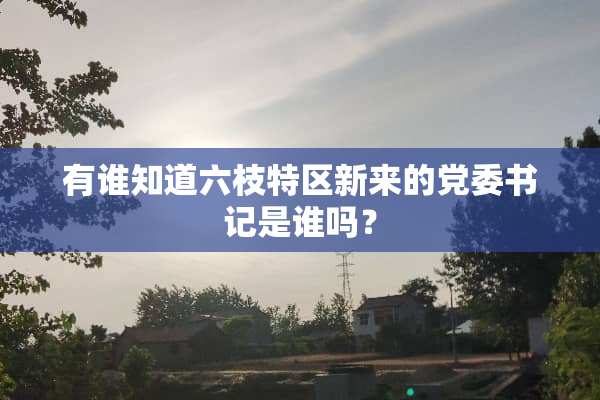 有谁知道六枝特区新来的*委**是谁吗？