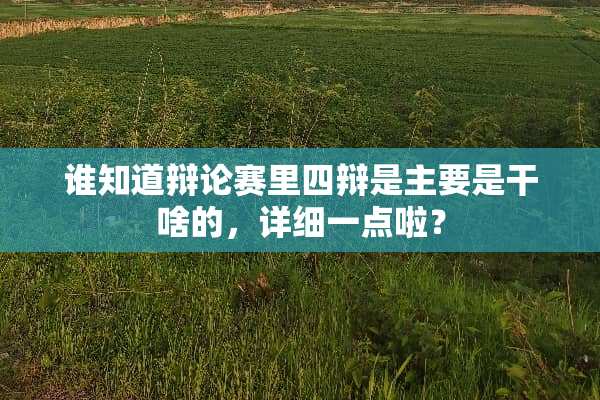 谁知道辩论赛里四辩是主要是干啥的，详细一点啦？