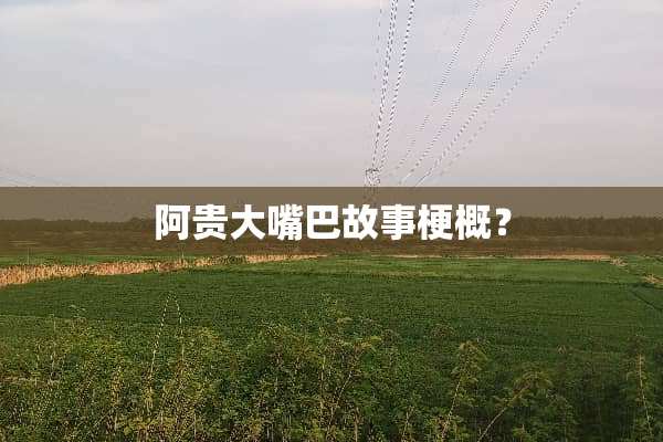 阿贵大嘴巴故事梗概？