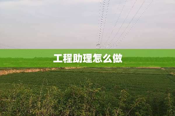 工程助理怎么做