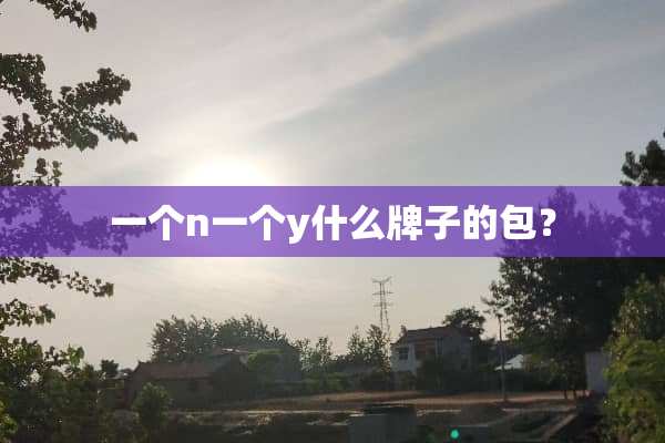 一个n一个y什么牌子的包？