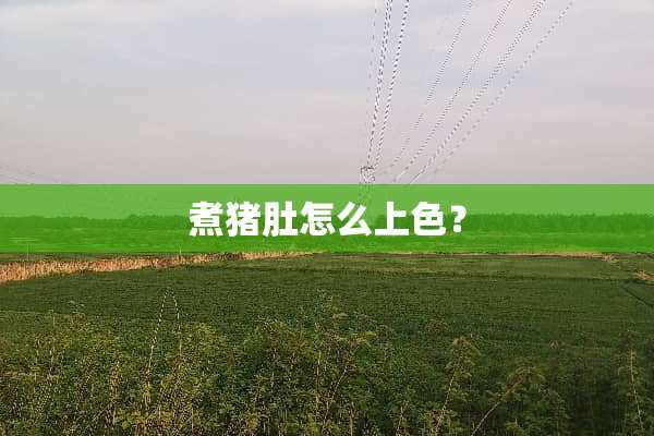 煮猪肚怎么上色？