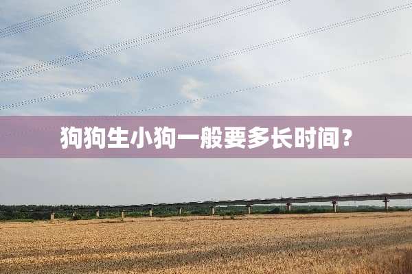 狗狗生小狗一般要多长时间？