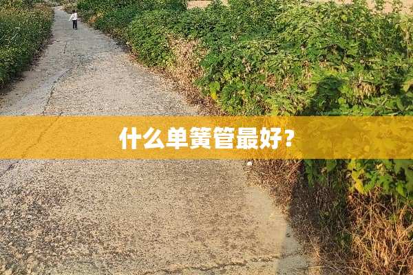 什么单簧管最好？