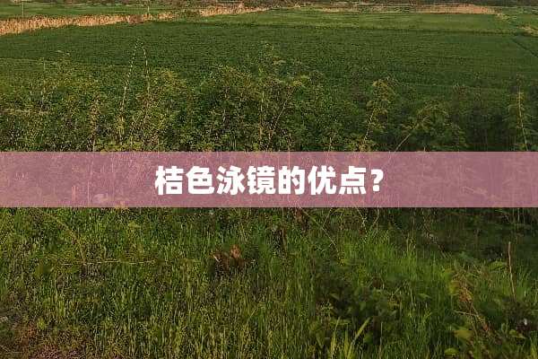 桔色泳镜的优点？