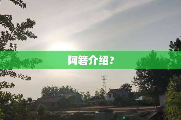 阿箬介绍？