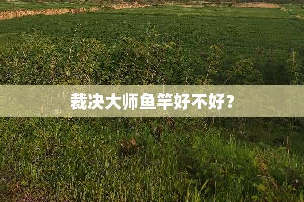 裁决大师鱼竿好不好？