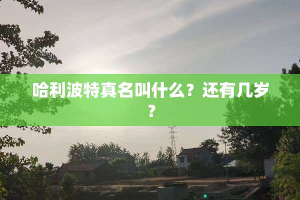 哈利波特真名叫什么？还有几岁？