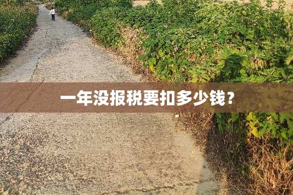 一年没**要扣多少钱？