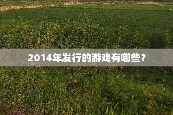 2014年发行的游戏有哪些？