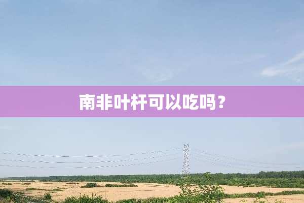 南非叶杆可以吃吗？