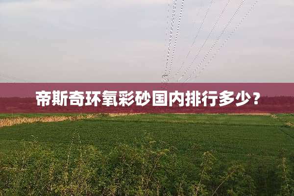 帝斯奇环氧彩砂国内排行多少？