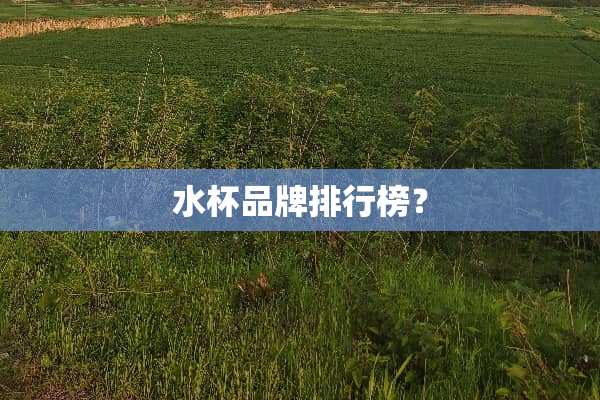 水杯品牌排行榜？