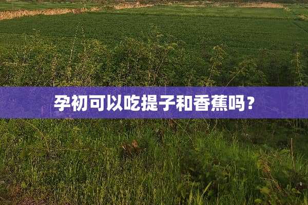孕初可以吃提子和香蕉吗？