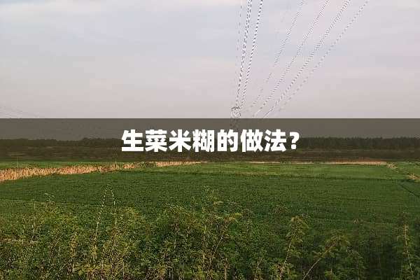生菜米糊的做法？