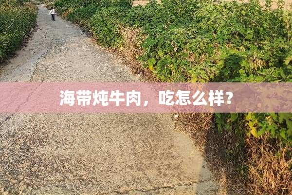 海带炖牛肉，吃怎么样？