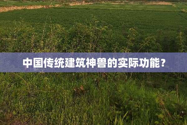 中国传统建筑神兽的实际功能？