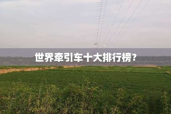 世界牵引车十大排行榜？