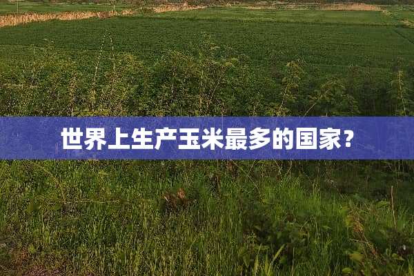 世界上生产玉米最多的国家？