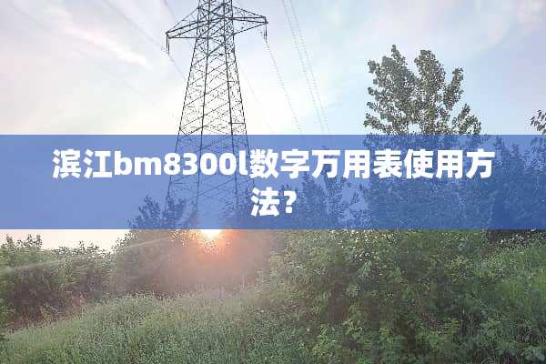 滨江bm8300l数字万用表使用方法？
