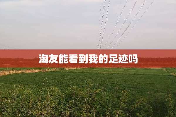 淘友能看到我的足迹吗