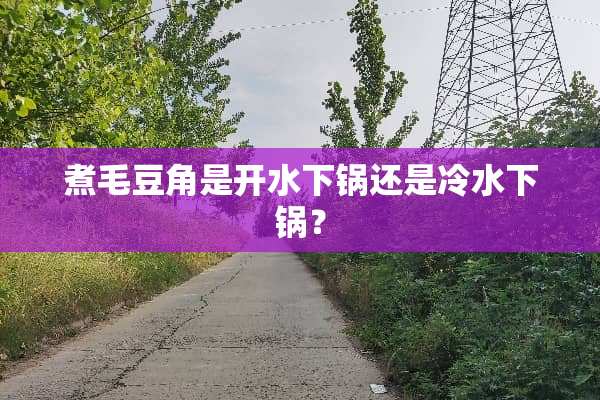 煮毛豆角是开水下锅还是冷水下锅？