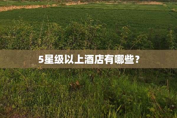 5星级以上酒店有哪些？