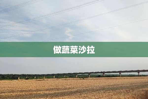做蔬菜沙拉