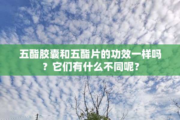 五酯胶囊和五酯片的功效一样吗？它们有什么不同呢？