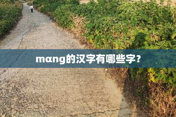 mαng的汉字有哪些字？