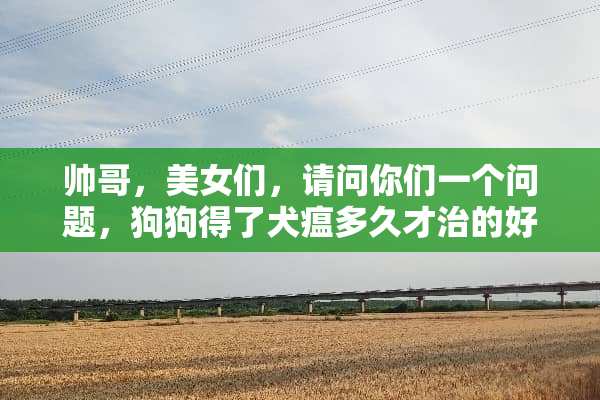 帅哥，**们，请问你们一个问题，狗狗得了犬瘟多久才治的好？