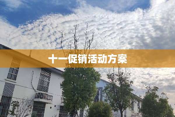 十一促销活动方案