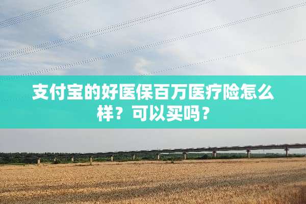 支付宝的好医保百万医疗险怎么样？可以买吗？