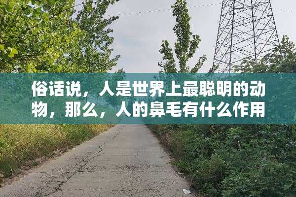 俗话说，人是世界上最聪明的动物，那么，人的鼻毛有什么作用呢？
